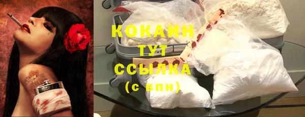 мдпв Кинешма