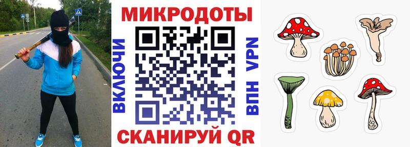 Псилоцибиновые грибы GOLDEN TEACHER  Купить где  Бикин 